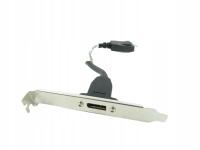 Przedłużka wyjście DisplayPort na śledziu M92p