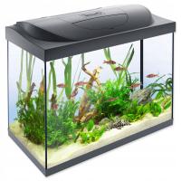 Zestaw akwariowy Tetra Starter Line LED 61x32x51cm 80l