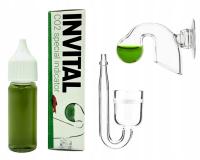 INVITAL CO2 zestaw akcesoriów