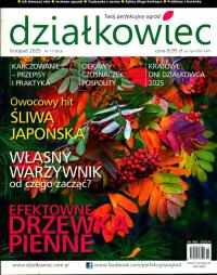 11/2025 DZIAŁKOWIEC EFEKTOWNE DRZEWKA PIENNE