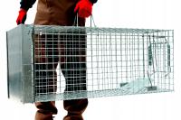 ZYWOŁAPKA ЛОВУШКА ДЛЯ КУНИЦЫ, ЛИСЫ, КОШКИ, БОБРЫ, ВЫДРЫ