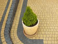 Fuga zasypka Kostka brukowa granit płyty tarasowe