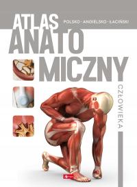 Atlas anatomiczny człowieka Opracowanie zbiorowe