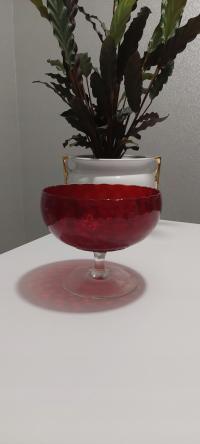 Patera rubinowa na stopie.