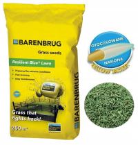 Трава семена Barenbrug стойкий синий 5 кг универсальный СТОЛОН руководство