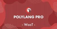 Polylang Pro Plugin Wordpress WooCommerce