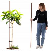 PALIK DREWNIANY OSTRZONY IMPREGNOWANY fi 28mm 180 cm PODPORA ROŚLIN KIJ