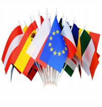 Государственный флаг любой страны города 11x6cm