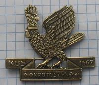 Курак Братство лисички (11)