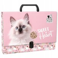 Teczka szkolna z rączką A4 dla dzieci Twarda Cleo i Frank 45 KOT