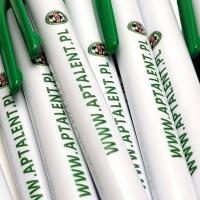 Ручки с цветной печатью логотипа высочайшее качество и быстрая реализация