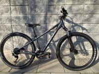 Rower FOCUS WHISTLER 3.6 XS34 (152-161cm)