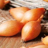 Cebula Dymka Sturon Zółta Rozmiar 8-21 0,5 kg plenna odporna smaczna