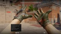 Перчатки мотоциклиста / 3-я рота коммандос Field-tested CS2 Gloves CSGO