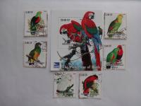Kongo 2003, Papugi, ptaki, bloczek + znaczki
