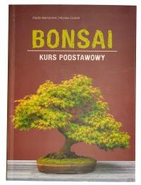 BONSAI KURS PODSTAWOWY