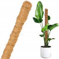 Кокосовый кол 40 см / 25 мм - опора для цветочных растений