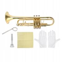 B плоская золотая латунная труба для начинающих набор инструментов UL