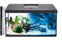 AKWARIUM PROSTY 72L WYPOSAŻENIE + POKRYWA i FILTR AQUAEL LEDDY DZIEŃ + NOC