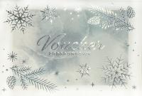 Voucher Świąteczny SILVER 10 szt. / voucher upominkowy + srebrny lakier