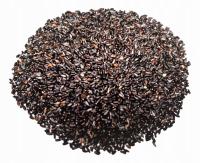 Melisa lekarska nasiona do sadzenia siewu zioła 10g bez sztucznych nawozów