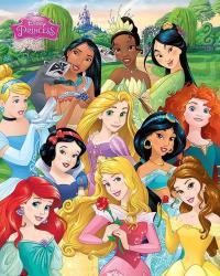 DISNEY PRINCESS I AM THE PRINCESS plakat 40x50cm