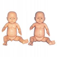 2 . Dummy body for children to