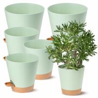 DONICZKI SAMONAWADNIAJĄCE NA KWIATY ROŚLINY PLASTIKOWE ZESTAW 5 szt.