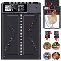 AUTOMATYCZNE DRZWI DO KURNIKA Z TIMEREM BLOKADA PRZYTRZAŚNIĘCIA WODOODPORNE