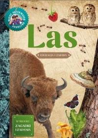 MŁODY OBSERWATOR PRZYRODY - LAS W.2022