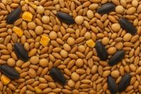 Mieszanka dla trzody świń – Tucznik Ekonomiczna – 20 kg