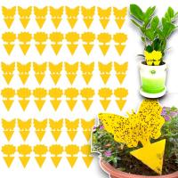 60x желтый цветочный горшок LEP бабочка на земле тля мушки плодовые насекомые