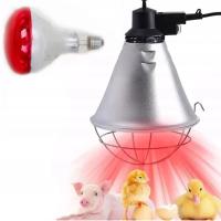 OPRAWA LAMPY GRZEWCZEJ PROMIENNIKA KWOKA LAMPA E27