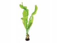 INVITAL Aponegeton ulvaceus корзина Ø 5,5 см