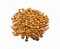 Kolendra siewna - nasiona - 500g 0.5kg