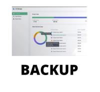 SYNOLOGY C2 BACKUP 500G-1Y (EU)