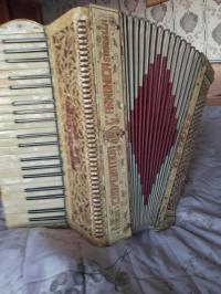 Akordeon ITALIA COOPERTIVA