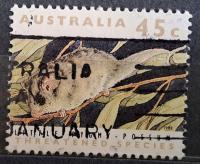 Australia luzak kas - 22/3 ssaki