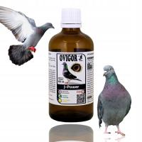 J- Power - do podnoszenia wyników lotowych szczytowa forma 100 ml