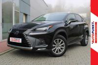 Lexus NX Business Line 300h