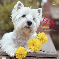 Kalendarz 2023 Albumowy Psy AVANTI