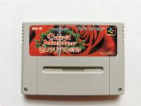 SNES - Card Master