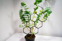 Modułowa Podpórka Do Kwiatów Roślin Drabinka DUŻA