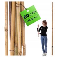 1 SZT. TYCZKA BAMBUSOWA 60 cm PODPORA DO POMIDORÓW ROŚLIN KWIATÓW PALIK