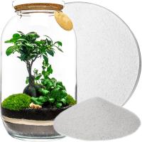 Белый песок декоративный лес в стеклянной банке сухой мелкий 1 кг