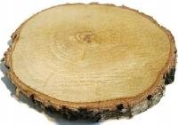 Plastry drewna krążki drewniane brzoza 17-20 cm