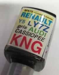 ZAPRAWKA LAKIERNICZA RENAULT KNG AUDI Y7Z Cassiope