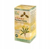 Qing Re An Chuang Pian PURIFACE FORM - 60 tabl. Green Nature