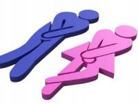 Humor Wc Toaleta Symbole Znaczniki Pan Pani Niebiesko Różowy