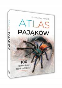 Атлас пауков тарантулы 100 размножающихся видов Przemysław Malgrab